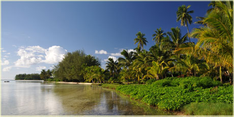 muri greenery shoreline