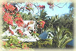 lush garden atmosphere
