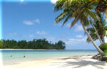 beautiful day in paradise