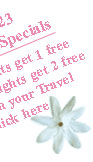 December 2009 Specials